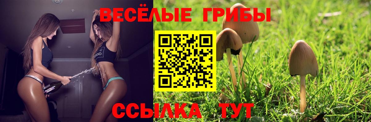 Галлюциногенные грибы Cubensis Ржев