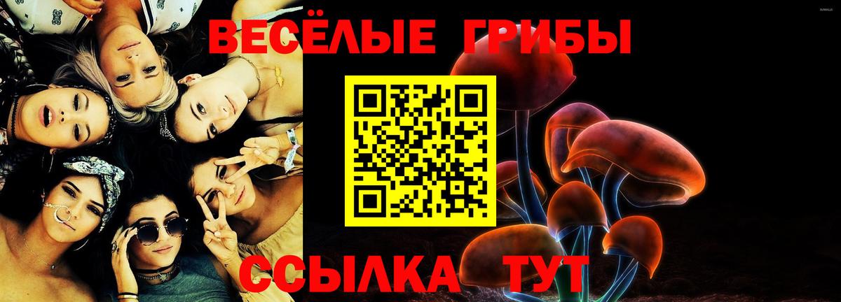 Псилоцибиновые грибы Psilocybine cubensis  Псилоцибиновые грибы Magic Shrooms  Вход с VPN  Ржев 